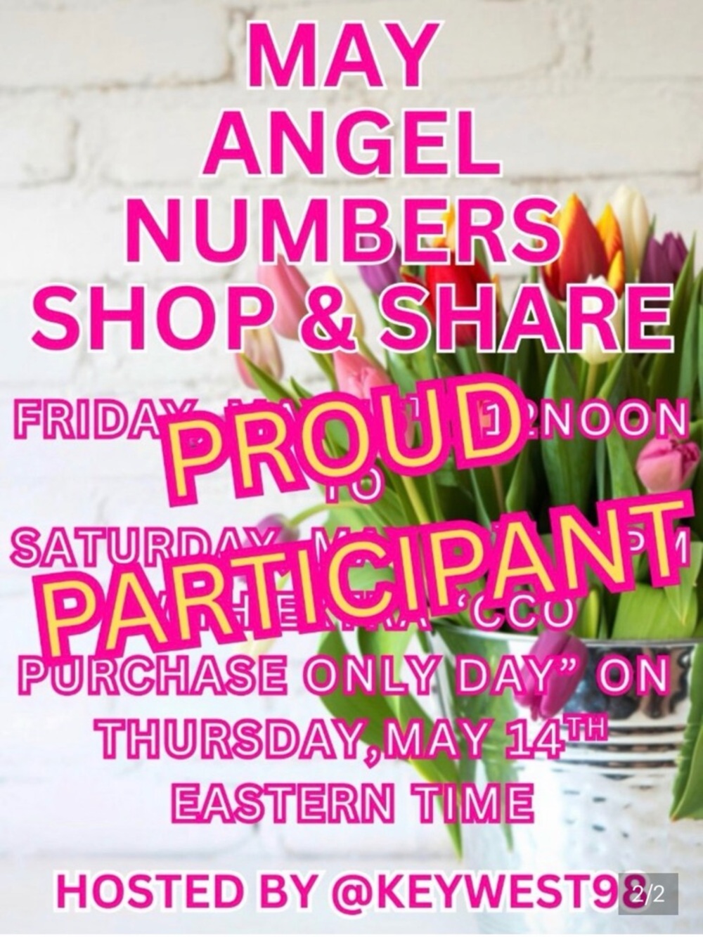 Proud Angel Shares Participant